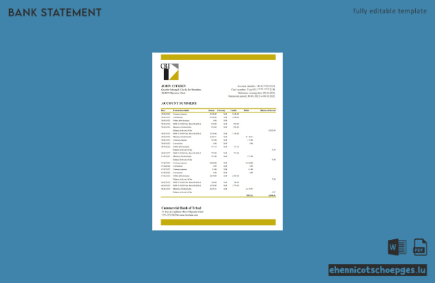 Beispiel eines Kontoauszugs der Chad Commercial Bank of Tchad (Excel-Vorschau)